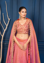 Imperial Tissue lehenga set